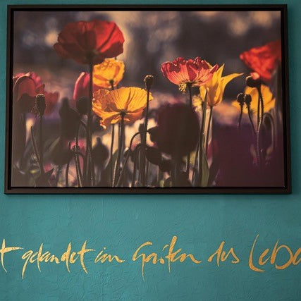 Wandtattoo "Gut gelandet im Garten des Lebens."