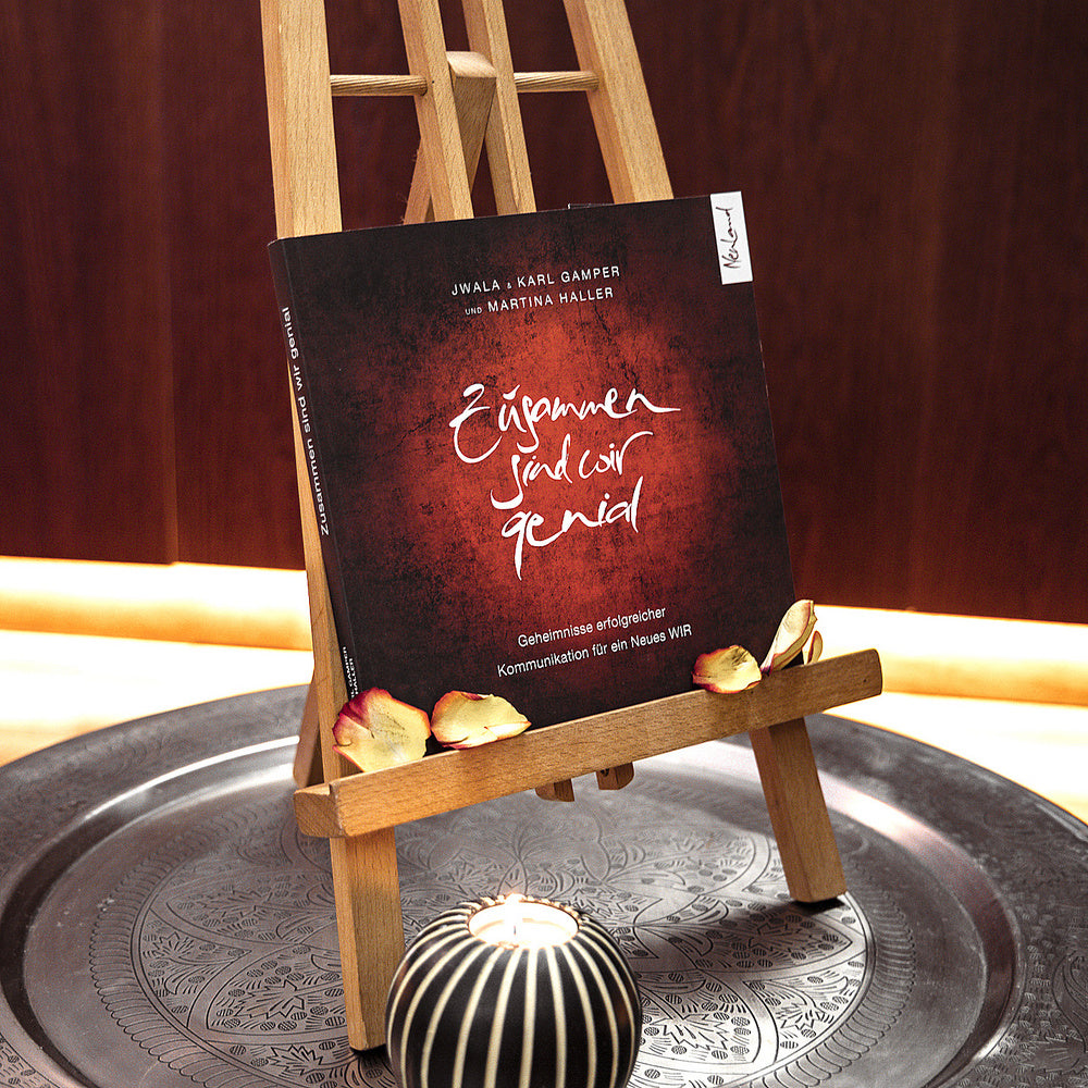 "Zusammen sind wir genial" Buch Gamper/Haller