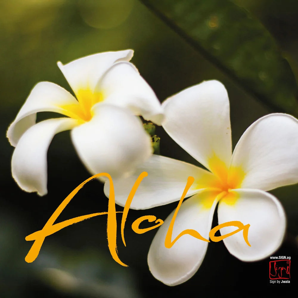 Exklusive, handgemachte Klappkarte „Aloha“ personalisiert kaufen – Luxus Grußkarte mit individueller Widmung und hochwertigem Design online im SignShop Tirol bestellen – Premium, einzigartige Grußkarte als besondere Geschenkidee für anspruchsvolle Menschen