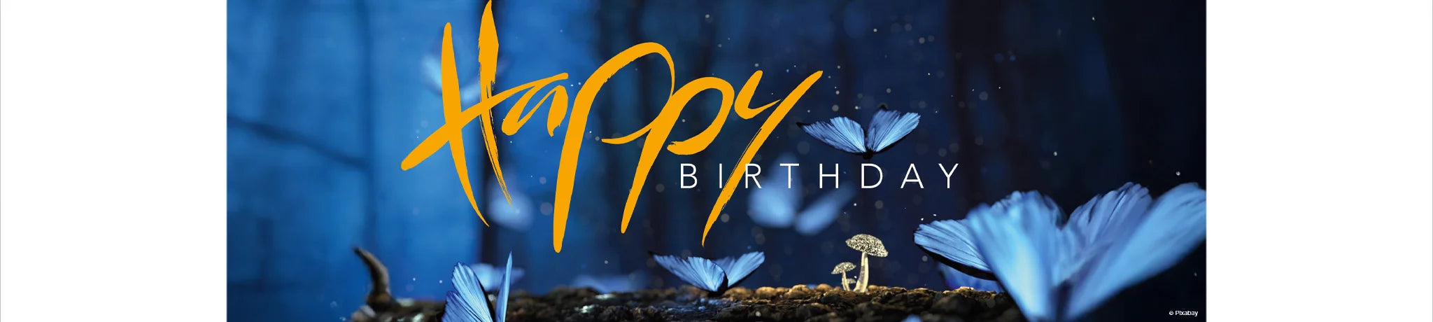 Schmetterlinge und der Schriftzug „Happy Birthday“ im Jwala-Stil aus dem Onlineshop SignShop Tirol