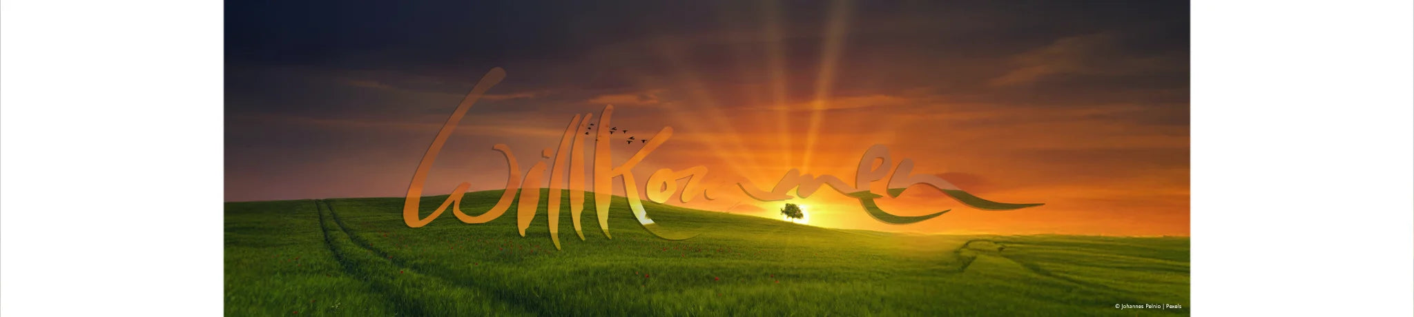 Willkommen im neuen SignShop Tirol – Deine Welt für spirituelle, handgemachte Unikate und hochschwingende Produkte voller Licht, Liebe und Inspiration für spirituelle Suchende