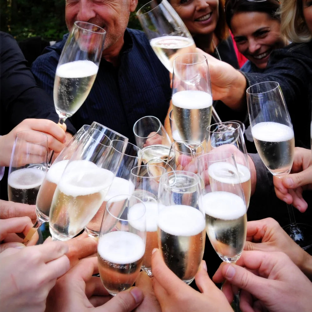 "Erfolg ist menschlich." - Buch von Karl Gamper