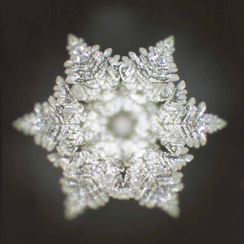 Original mundgeblasene Glaskugel Stille – Premium Dekoobjekt aus Tirol, sichere Online-Bestellung im SignShop Tirol