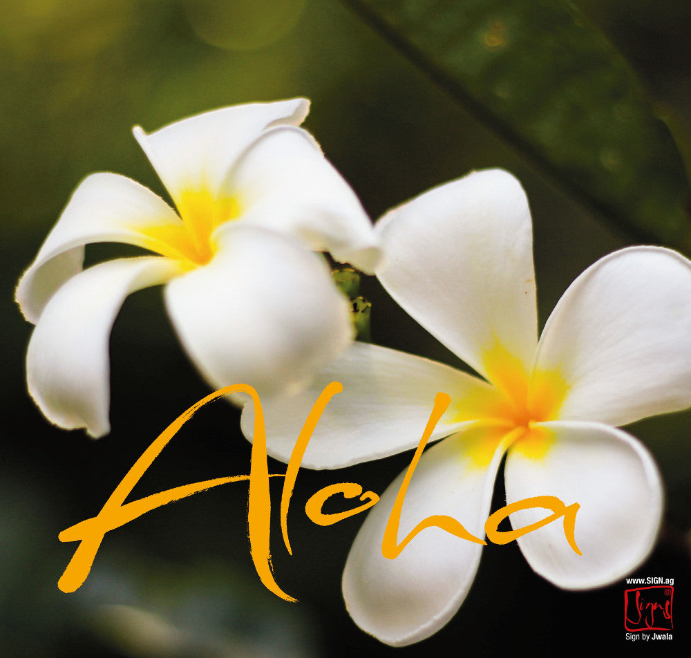 Klappkarten-Mischung 4